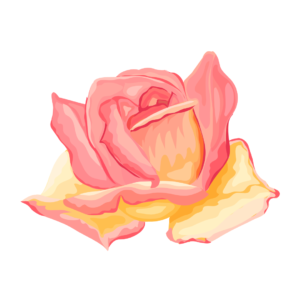 Face masque, face mask , rose face mask , dry skin